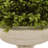 Cezalina Urn Planter