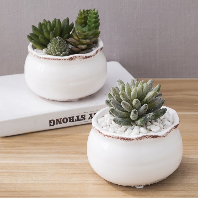 https://assets.wfcdn.com/im/82055627/resize-h755-w755%5Ecompr-r85/1488/148878963/Cardero+Ceramic+Pot+Planter.jpg