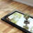 Wooden Frame Flat Mirror-204780680-204780685