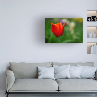 Art sur toile rouge, Suzanne Bonin