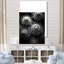 «Black and White Sea Urchin Symphony», reproduction sur toile de plage et océan-95884488-95884483