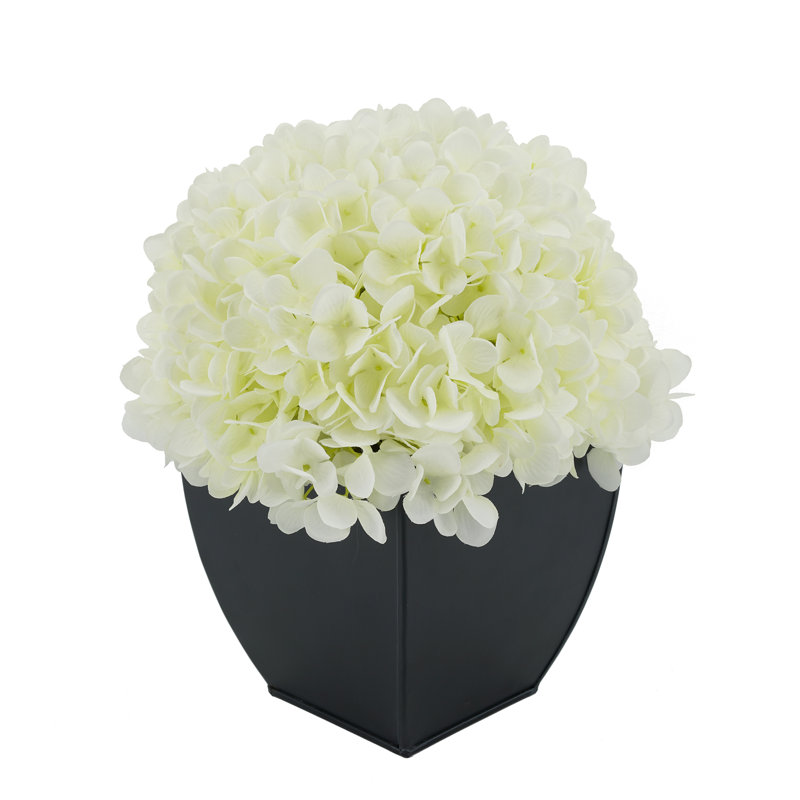 Arrangement floral hortensia en pot, Blanc