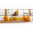 BIDKhome Manual Citrus Juicer