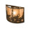 Fly Fishing Creek 2-Light Flush Mount