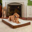 Lit orthopédique pour chien Lind Stockholm-1930434878-1962743104
