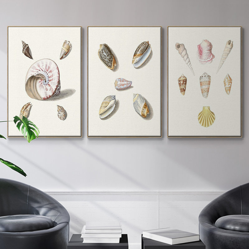 " Pastel Knorr Shells I " 3 - Pieces, Naturel, H 24 po x l 48 po x P 2 po
