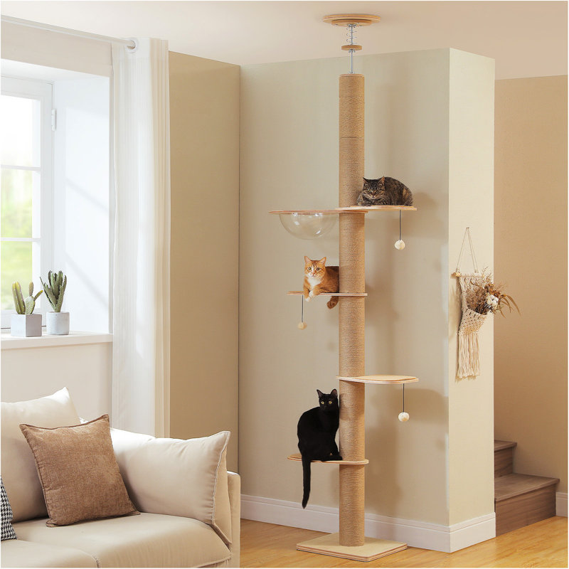 Tour pour chat réglable à 5 niveaux Cactus