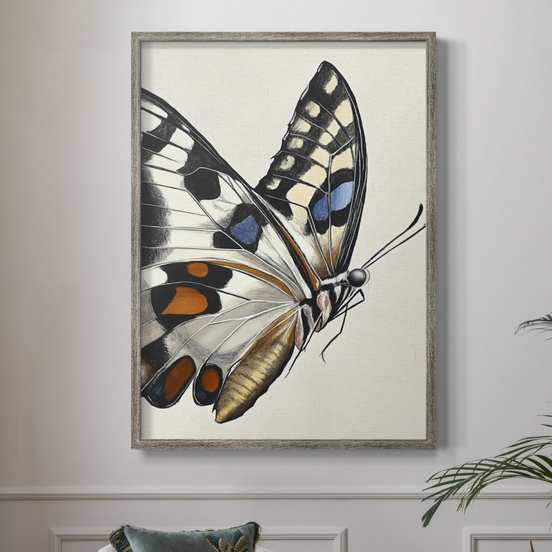 ANIMALS Series CECLI, reproduction encadrée - bois massif, H 11 po x l 9 po