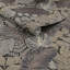 Superfresco Easy Scattered Leaves Floral Wallpaper-92325583