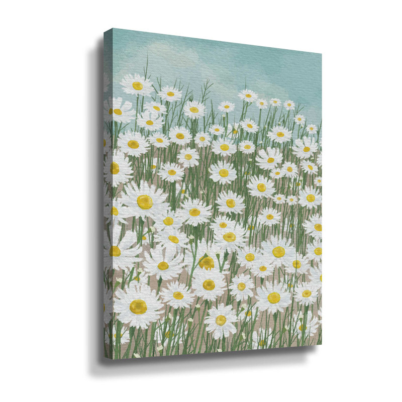 Daisies In The Sky Gallery, H 10 po x l 8 po, Toile tendue