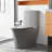 Grey Elongated Toilet With Dual Flush - 1.1/1.6 , Soft-Close Seat, 360 Degree Flushing, Easy Maintenance 1000G Map Score, Bowl, Silent Flushing-121639877