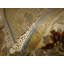 Kellyann Oriental Area Rug in Gray