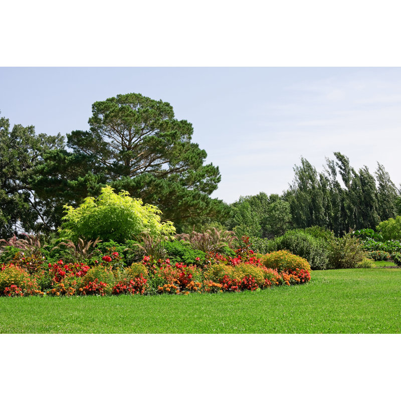 Orange and Red Formal Flower Garden, 81cm H x 122cm W