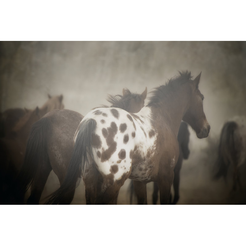 Appaloosa, H 20 po x l 30 po x P 1,25 po