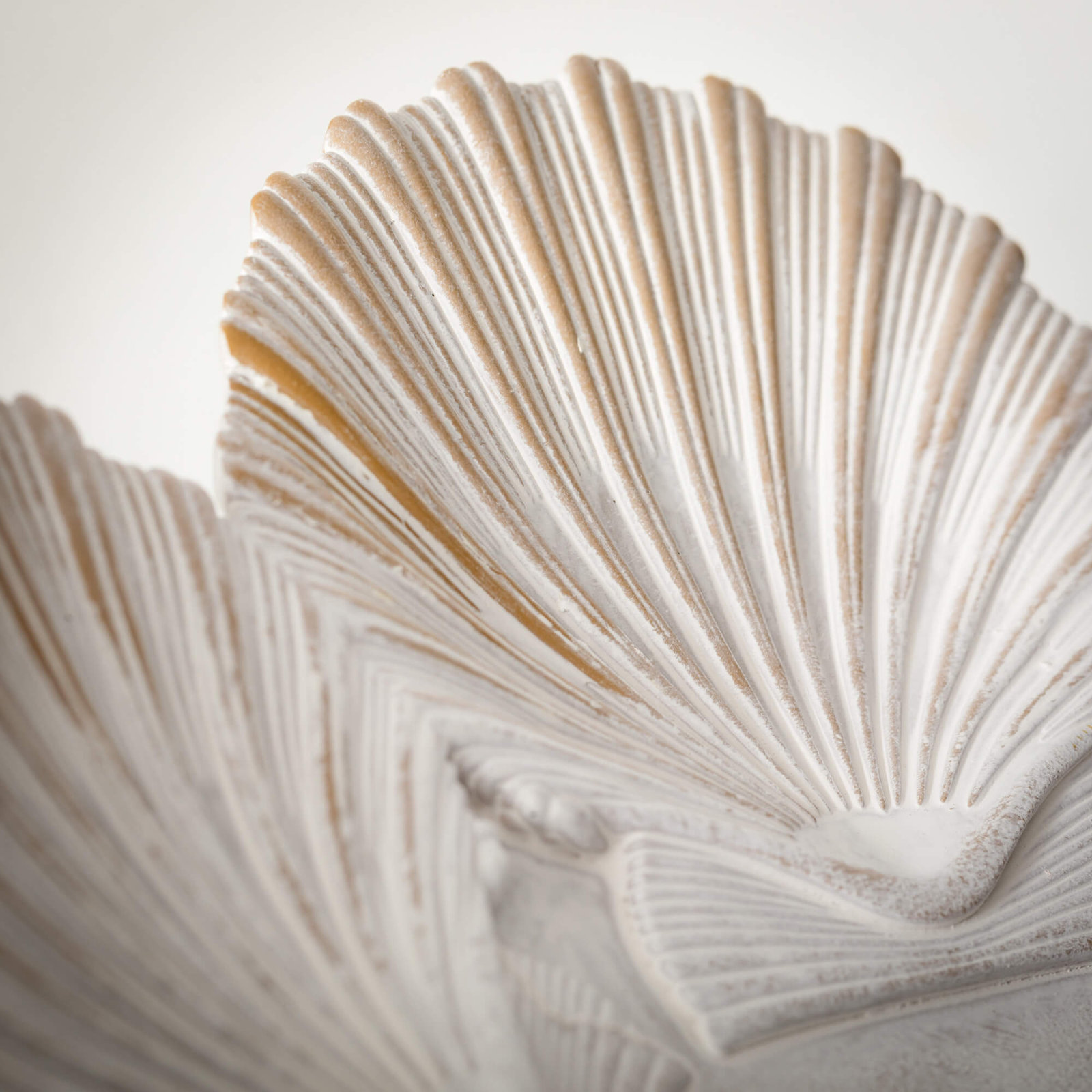 Sullivans Shell Bowl 3.75"H; Cream