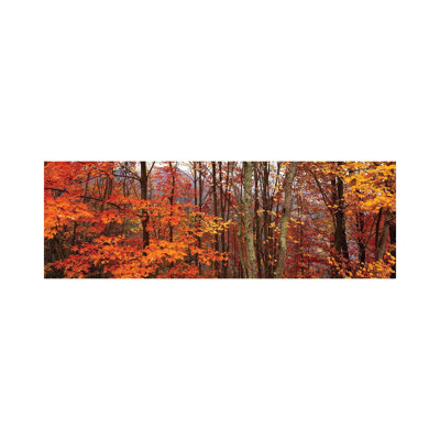 Autumn Trees In Great Smoky Mountains National Park, North Carolina, USA - Wrapped Canvas Panoramic Print