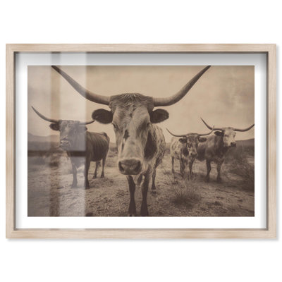 Décoration murale de style «Longhorn» à bovins par Notoriart, cadre blond, 15 x 10