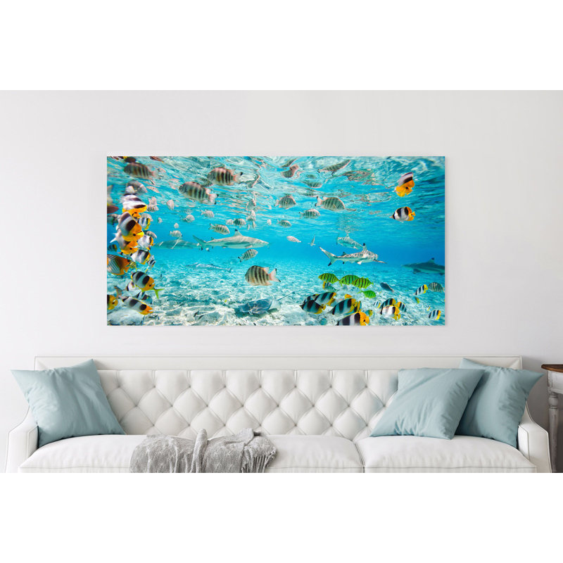 Fish And Sharks I Bora Bora Lagoon - Wrapped Canvas Print, 60cm H x 120cm W