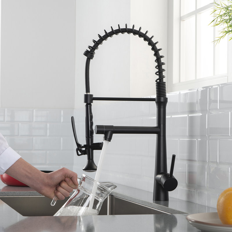 Fapully Pull Down Kitchen Faucet
