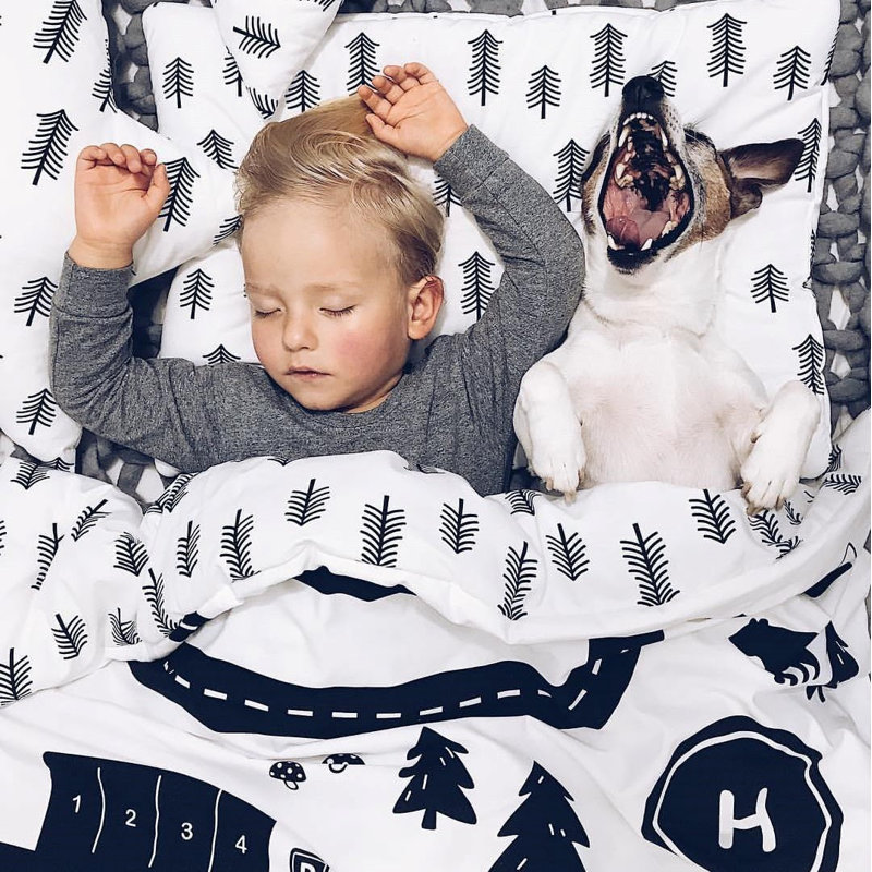 Lyra Cotton Graphic Print & Text Duvet Cover Set with Pillowcases