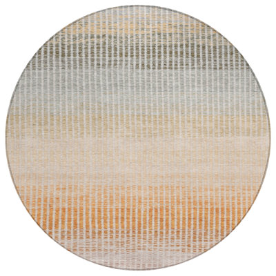 Machine Washable Indoor/Outdoor Chantille ACN2313 Stripes Rug
