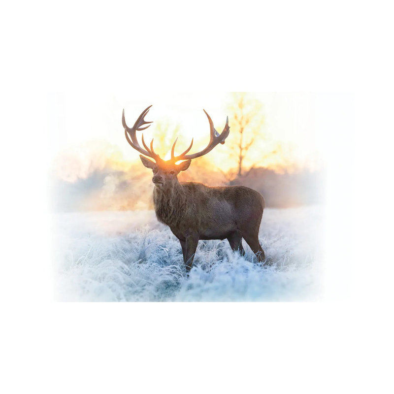Emperor Of The Cold By Max Ellis - Wrapped Canvas Photograph by Max Ellis - Wrapped Canvas Print