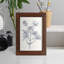Indigo Botany Study III - reproduction de cadre photo simple-387527004-387526997