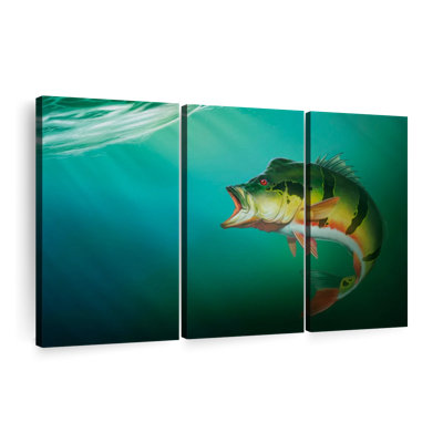 «Peacock Bass» sur toile
