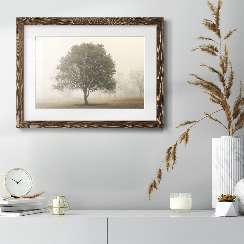 Arbres dans le brouillard I, H 18 po x l 26 po x P 1,5 po, Noyer