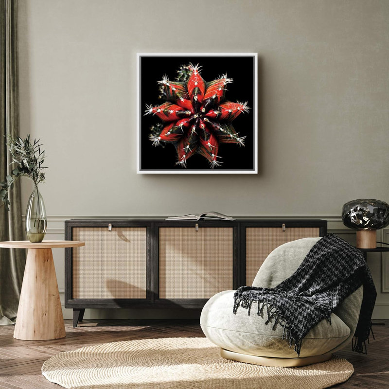 «Red Variegated Flory Cactus Succulent Floral Plants», photographie du Sud-Ouest, gros plan, ultra coloré, reproduction sur toile