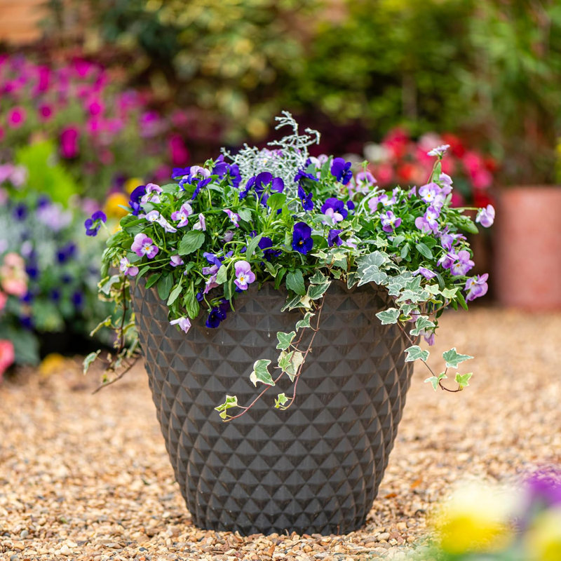 Cassarah Pot Planter, Grey