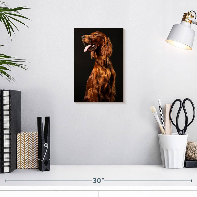 Setter irlandais Brampt, H 12 po x l 8 po