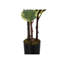 Plante artificielle