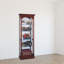 Brickey Lighted Curio Cabinet