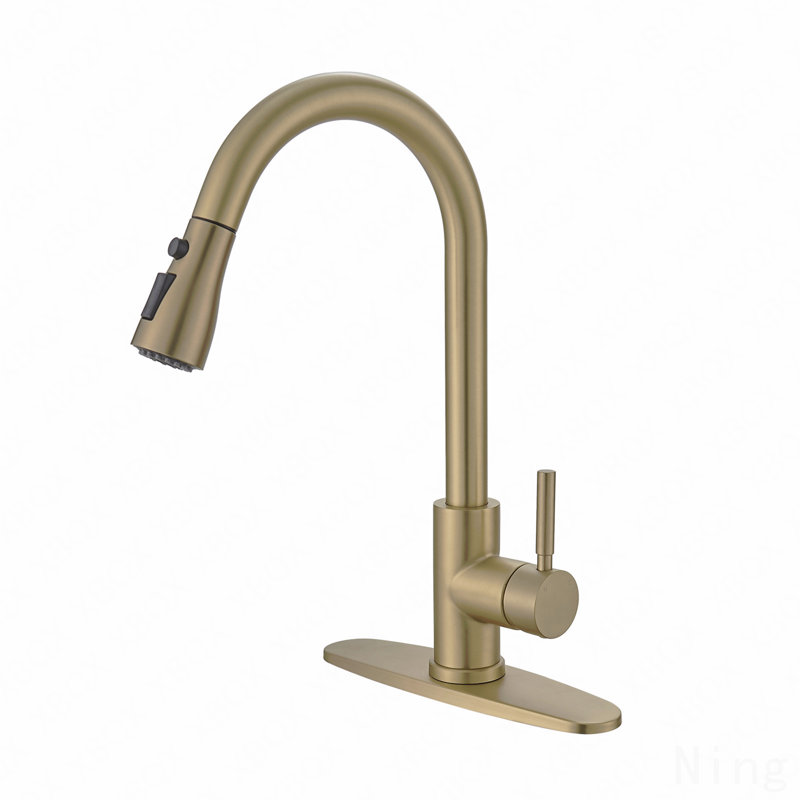 Robinet de cuisine à poignée simple avec douchette extractible et plaque de pont