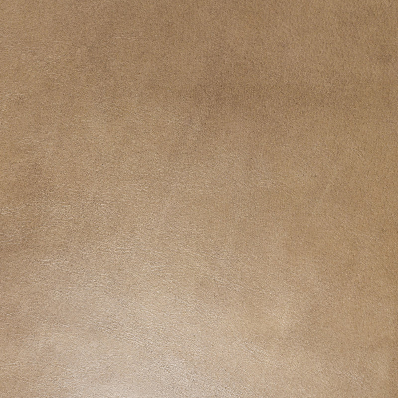 Fonda Leather Dining Chair, Tan/Black