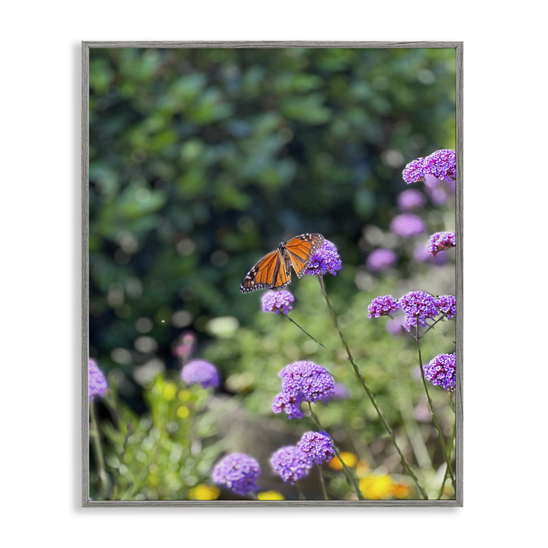 «Butterfly in Meadow», estampe numérique par Kali Wilson, Estampe numérique Farmhouse, H 14 po x l 11 po