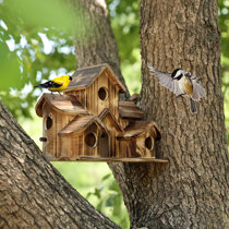 Bird House pour l’extérieur, 6 trous fait à la main maison d’oiseaux en  bois, style villa rétro Grande maison d’oiseaux pour les oiseaux  extérieurs