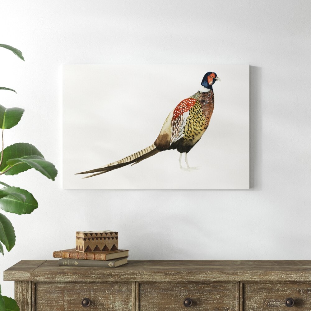 Leinwandbild Pheasant I von Grace Popp