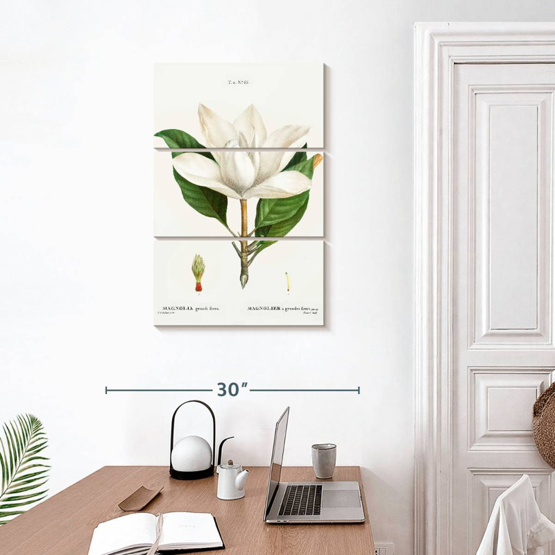 Harnek Magnolia du Sud, H 32 po x l 20 po