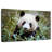 Panda With Bamboo-107703047