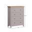 Maryhannah Chest of 4 Drawers-2078957092