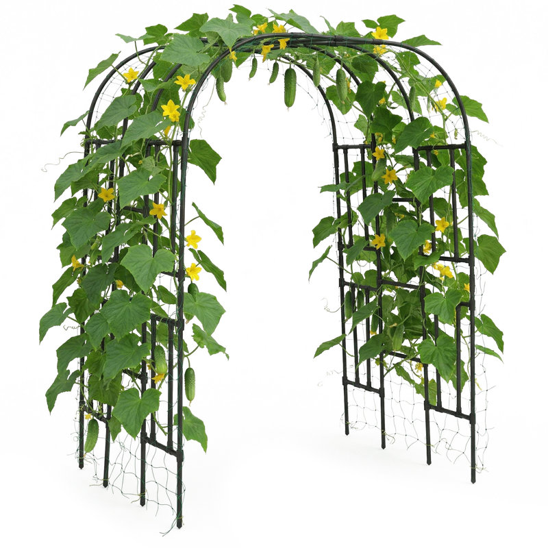Trellis Garden Arch