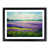 Black Framed selected