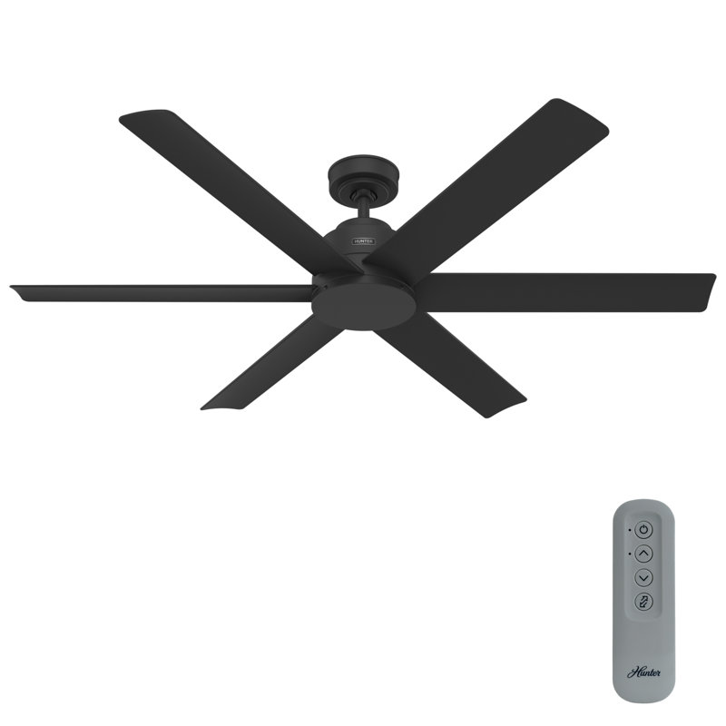 Hunter 60 inch Kennicott ENERGY STAR® Damp Rated Ceiling Fan and Handheld Remote