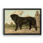 Mastiff - cadre photo, reproduction d'art sur toile-719610046-719610044