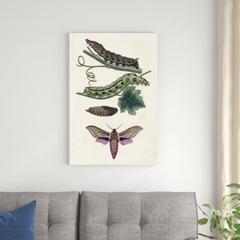 Chenille et papillon de nuit VI - peinture sur toile tendue, H 36 po x l 24 po