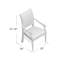 Delano Upholstered King Louis Back Arm Chair-1098108590-1098105327