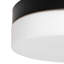 Audreona LED Flush Ceiling Lights