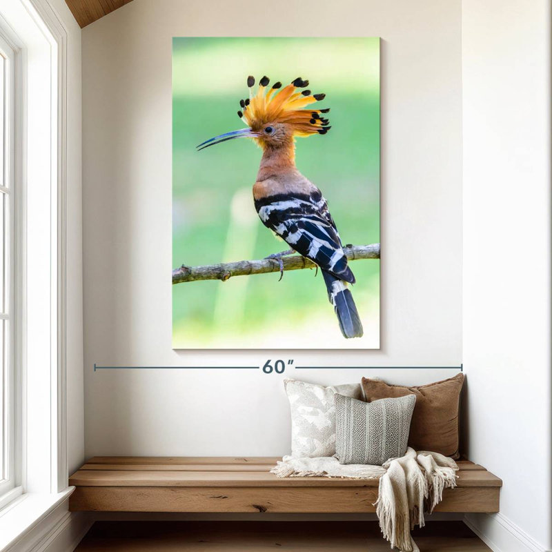 Brampt Common Hoopoe, 51" H x 34" W